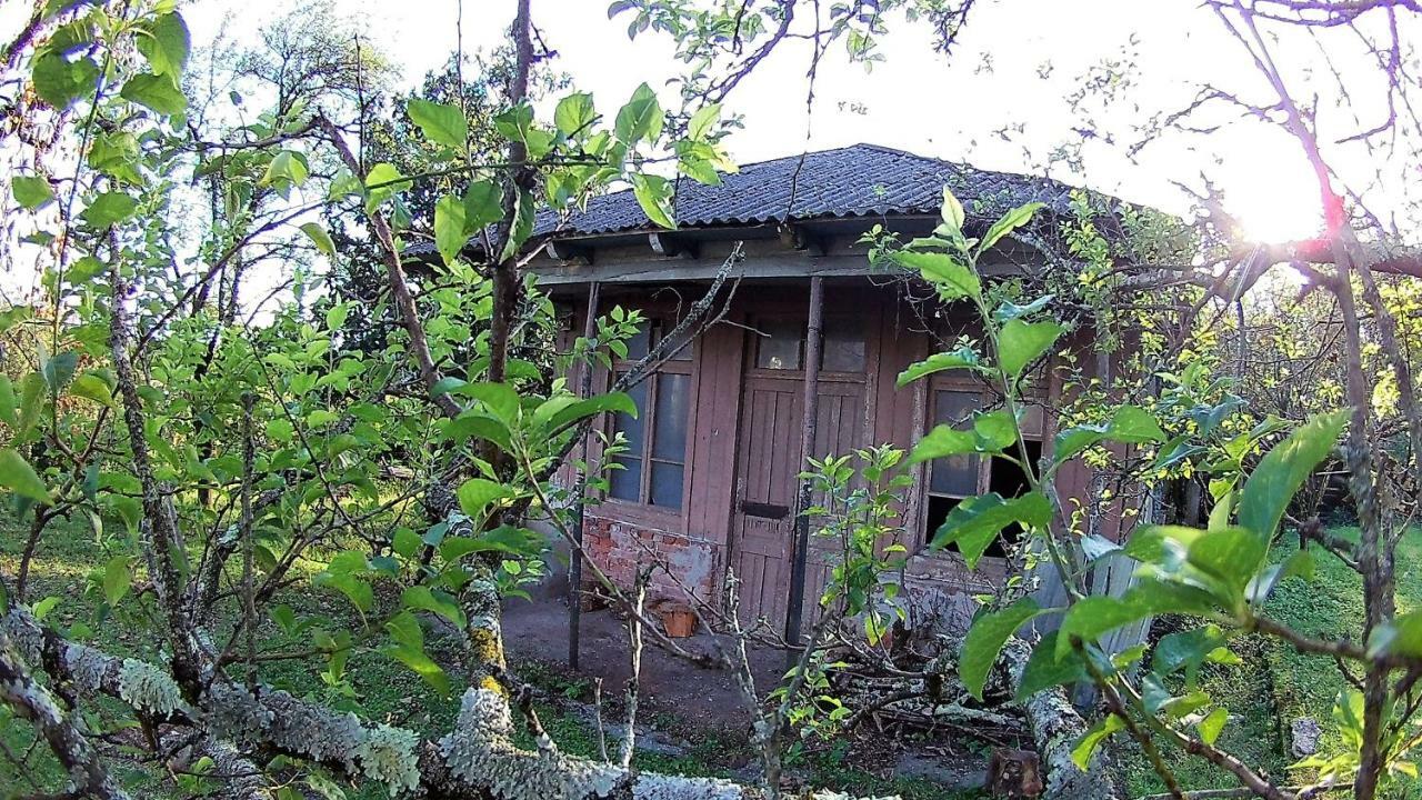 Surmava Palace マートヴィリ エクステリア 写真