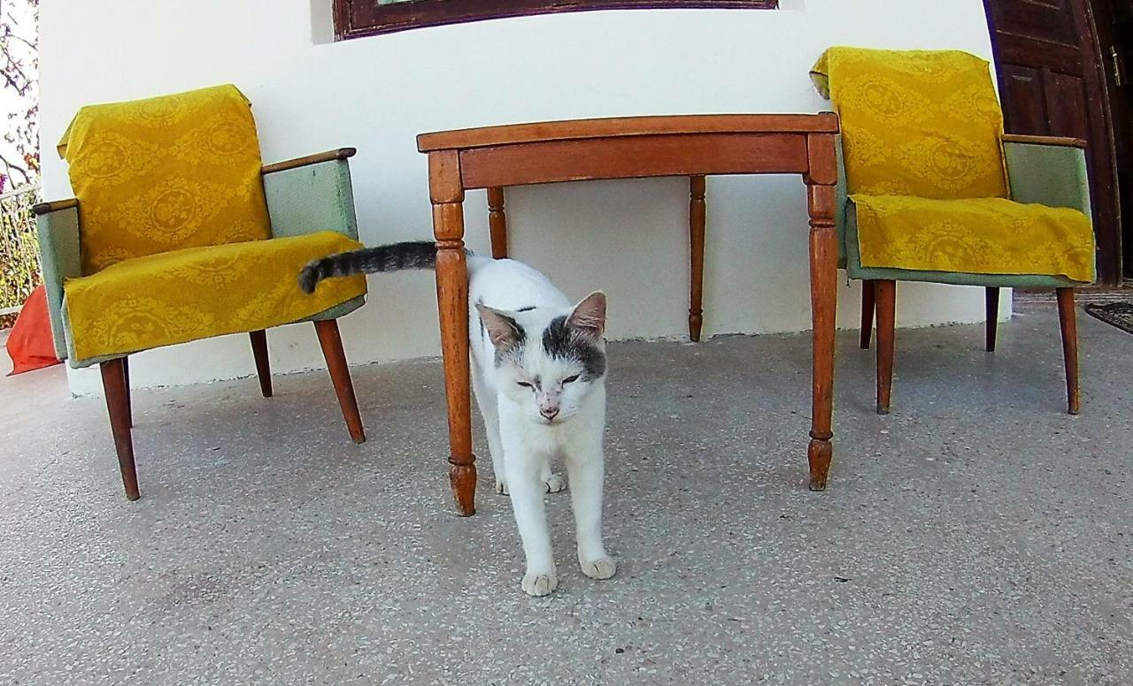 Surmava Palace マートヴィリ エクステリア 写真